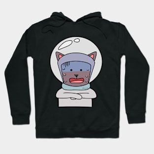 cat Hoodie